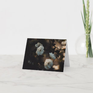 Witte rozen in somber licht, Medeleven Kaart