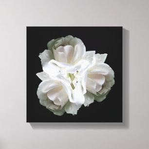 witte rozen met regendruppels canvas afdruk