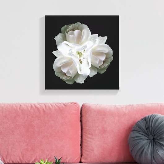 witte rozen met regendruppels canvas afdruk (Insitu (Woonkamer))