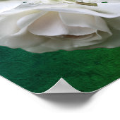witte rozen met regendruppels, Poster van Bouquet (Hoek)