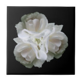 witte rozen met regendruppels tegeltje (Voorkant)