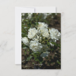  witte rozen notitiekaartje