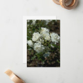  witte rozen notitiekaartje (Voorkant / Achterkant in situ)
