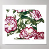Witte rozen nr. 2 poster (Voorkant)