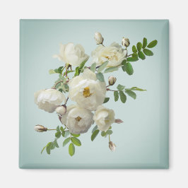 Witte rozen op droomgroene magneet