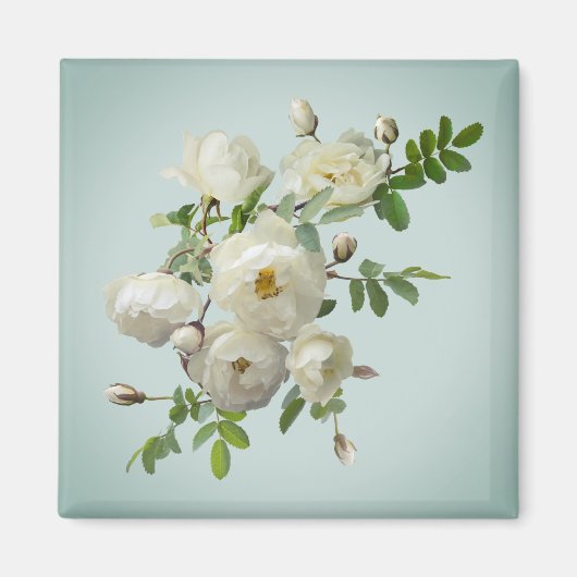 Witte rozen op droomgroene magneet (Voorkant)