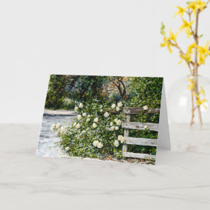 Witte rozen op een landhek Flower Art Kaart