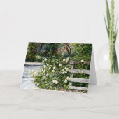 Witte rozen op een landhek Flower Art Kaart (Voorkant)