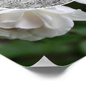 Witte Rozen Regendruppels Frame Maak Je Eigen Foto Poster (Hoek)