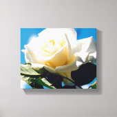 Witte Rozen Schoonheid Canvas Afdruk (Voorkant)