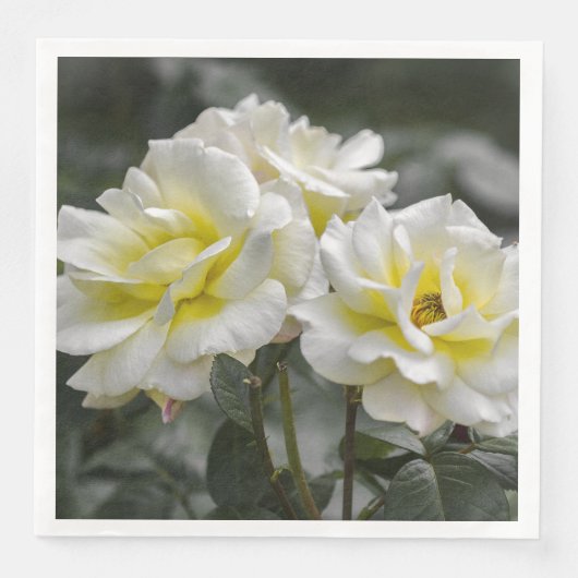 Witte Rozen Servet (Voorkant)