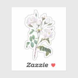  witte rozen sticker