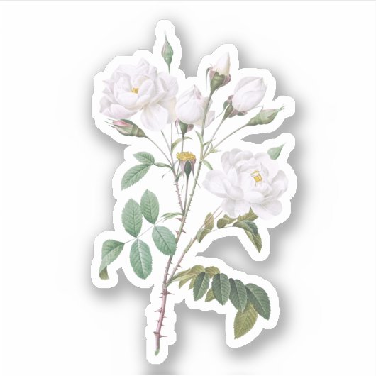  witte rozen sticker (Voorkant)