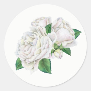 Witte rozen Stickers
