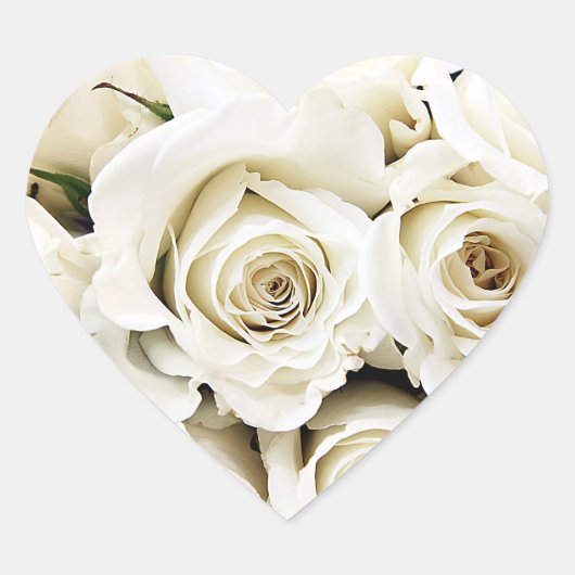 Witte rozen Stickers (Voorkant)