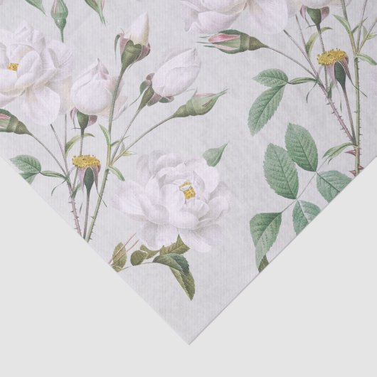  witte rozen tissuepapier (Detail)