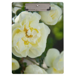 Witte rozen voor positieve uitslag klembord