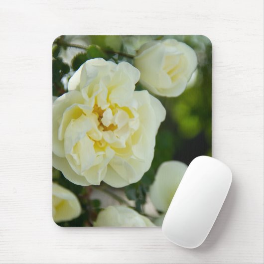 Witte rozen voor positieve uitslag muismat (Met muis)