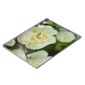 Witte rozen voor positieve uitslag notitieboek (Linkerzijde)