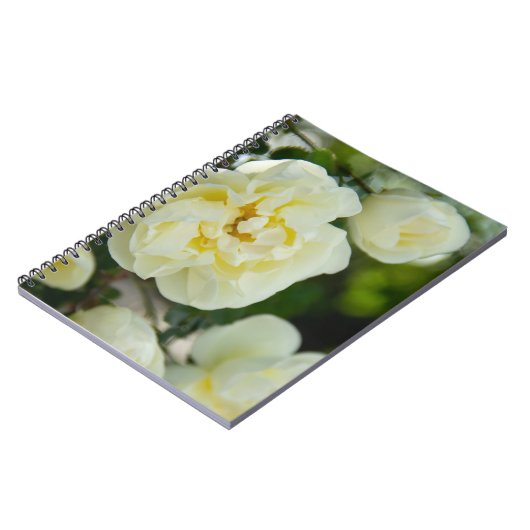 Witte rozen voor positieve uitslag notitieboek (Linkerzijde)