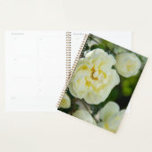 Witte rozen voor positieve uitslag planner (Display)