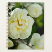 Witte rozen voor positieve uitslag planner (Voorkant)