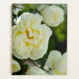 Witte rozen voor positieve uitslag planner