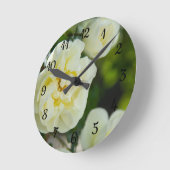 Witte rozen voor positieve uitslag ronde klok (Hoek)