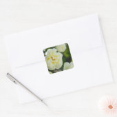 Witte rozen voor positieve uitslag vierkante sticker (Envelop)