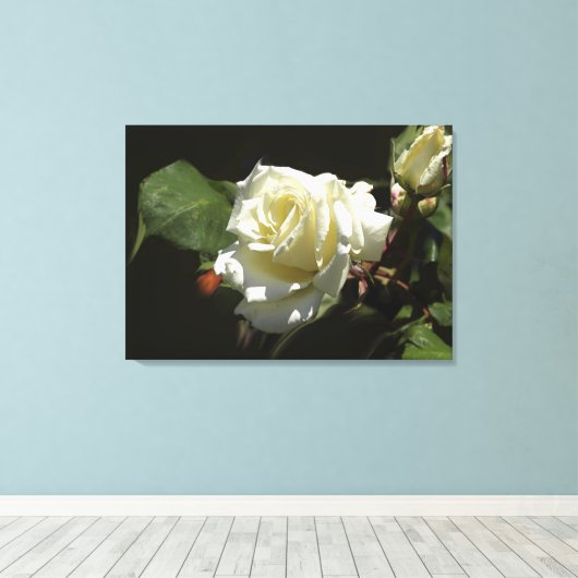 Witte Rozen Wilde Bloemen Fotoprint Canvas Afdruk (Insitu (Houten vloer))