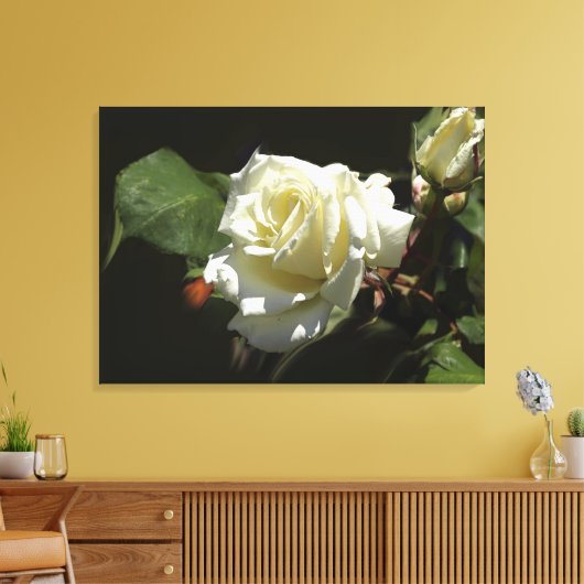 Witte Rozen Wilde Bloemen Fotoprint Canvas Afdruk (Insitu (Woonkamer))