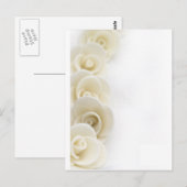 witte rozenachtergrond briefkaart (Voorkant / Achterkant)