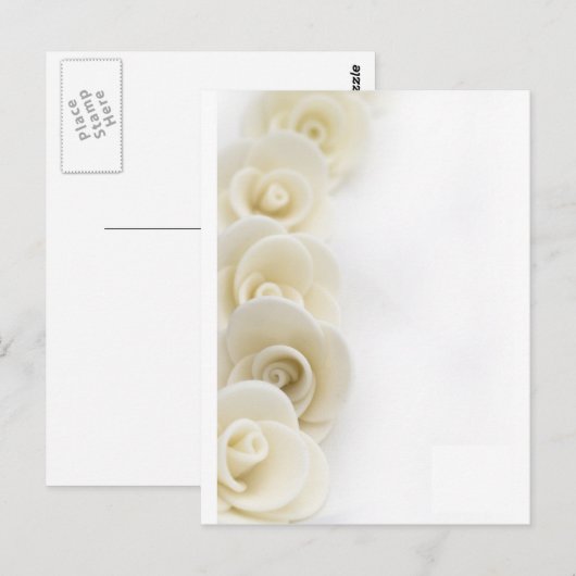 witte rozenachtergrond briefkaart (Voorkant / Achterkant)