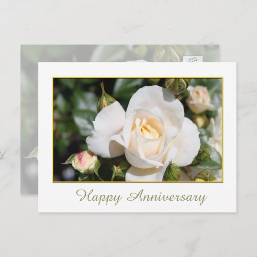 witte rozenbloem briefkaart (Voorkant / Achterkant)