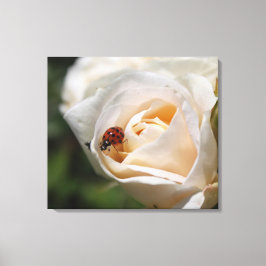 witte rozenbloem en damesbeestje natuur met bloeme canvas afdruk