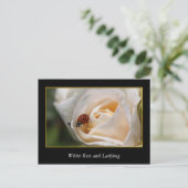 witte rozenbloem en rode ladybug. briefkaart (Staand voorkant)
