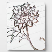 witte rozenbloem fotoplaat (Voorkant)