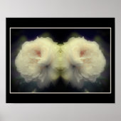 Witte rozenbloem in Bloom Mirror Abstract Poster (Voorkant)