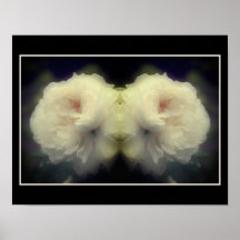 Witte rozenbloem in Bloom Mirror Abstract