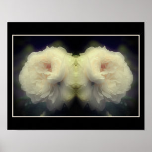 Witte rozenbloem in Bloom Mirror Abstract Poster
