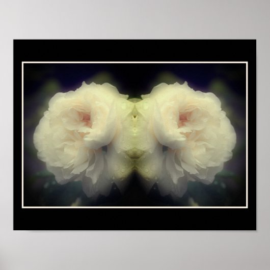 Witte rozenbloem in Bloom Mirror Abstract Poster (Voorkant)