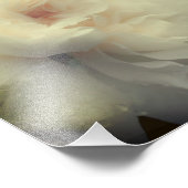 Witte rozenbloem in volle bloei 8x8 foto afdruk (Hoek)