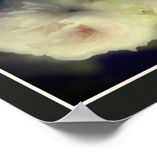 Witte rozenbloem in volle bloei Abstract Poster (Hoek)