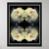 Witte rozenbloem in volle bloei Abstract Poster (Voorkant)