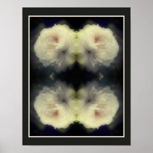 Witte rozenbloem in volle bloei Abstract Poster