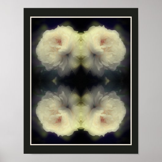 Witte rozenbloem in volle bloei Abstract Poster (Voorkant)