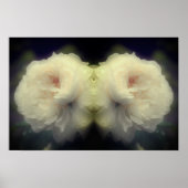 Witte rozenbloem in volle bloei spiegel Abstract Poster (Voorkant)