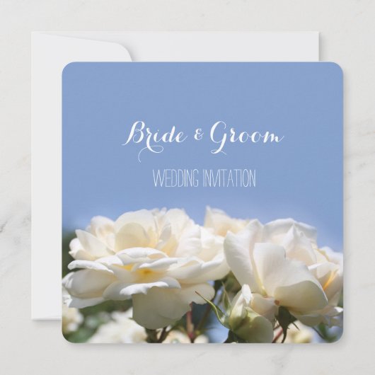 witte rozenbloemen op blauwe trouwuitnodiging kaart (Achterkant)