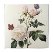 witte rozenbloemen, Pierre Joseph Redouté Tegeltje (Voorkant)