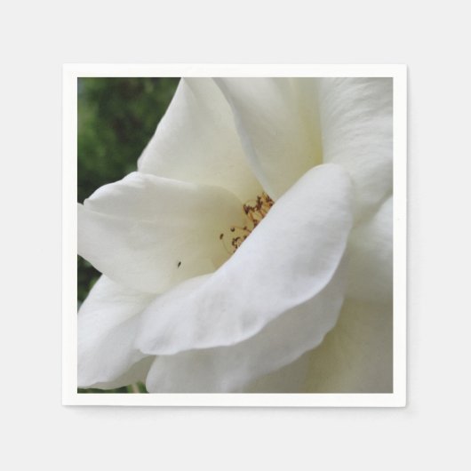 Witte rozenbloemluiers servet (Voorkant)